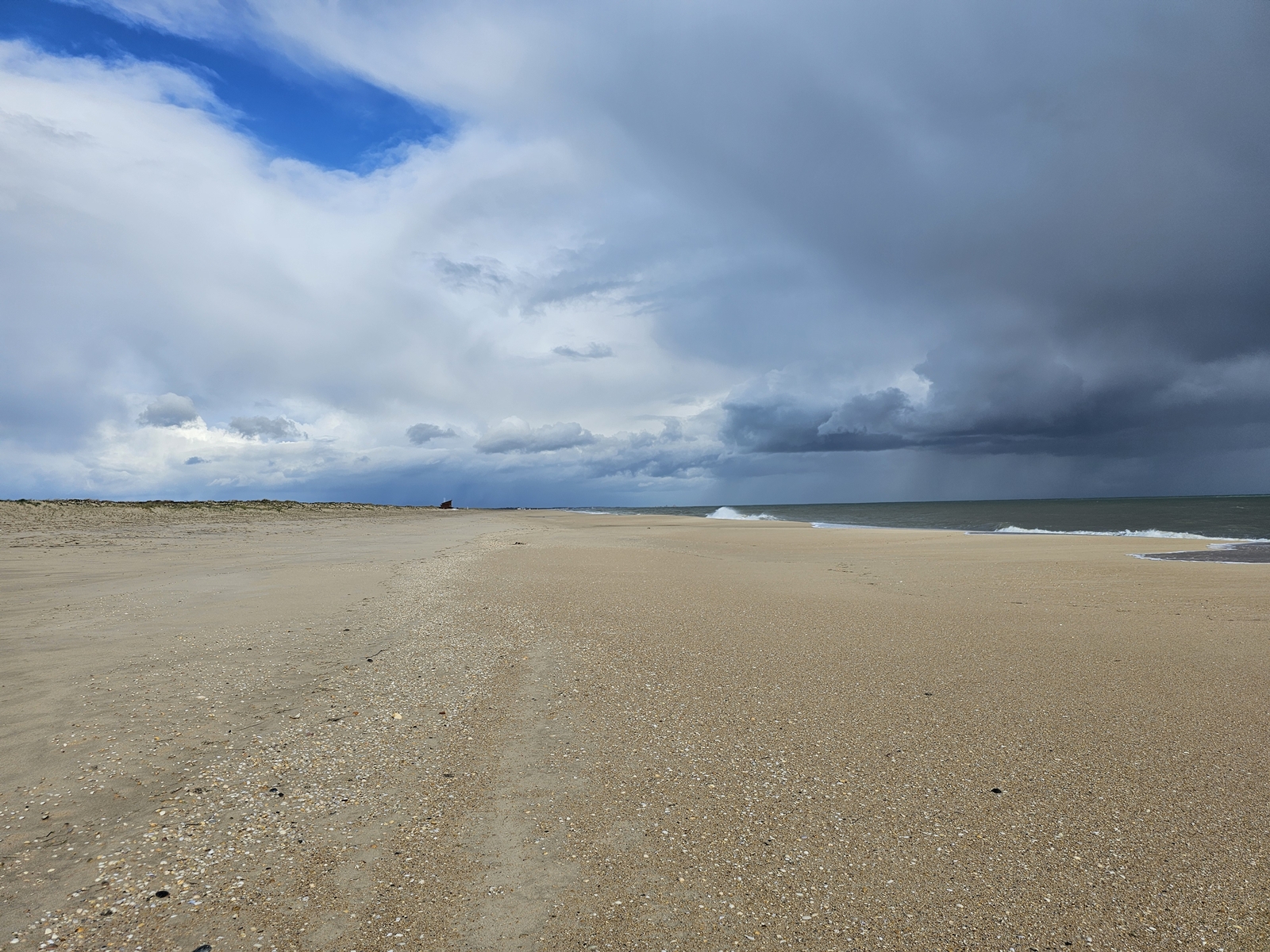 Tavira20260213 140701 015