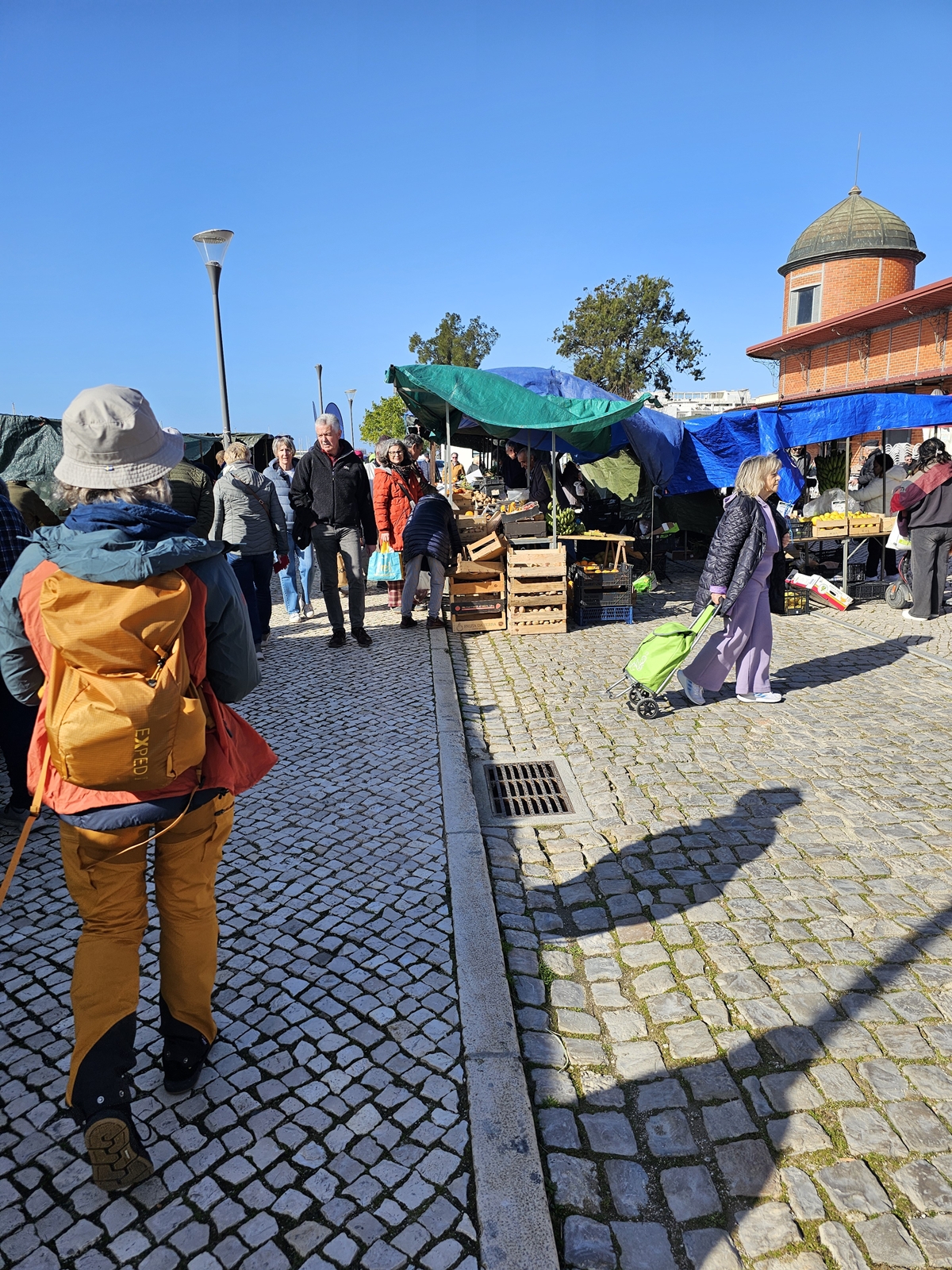 Tavira20260214 102534 017