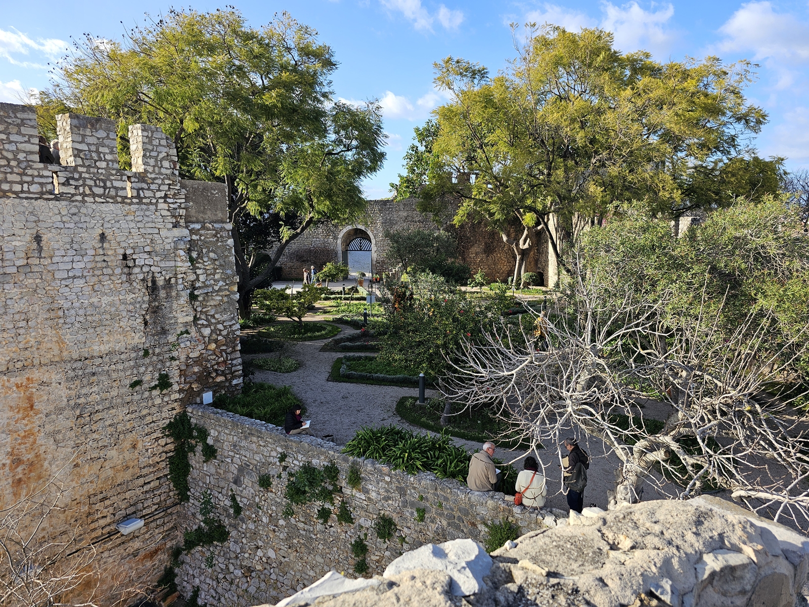 Tavira20260214 161215 020