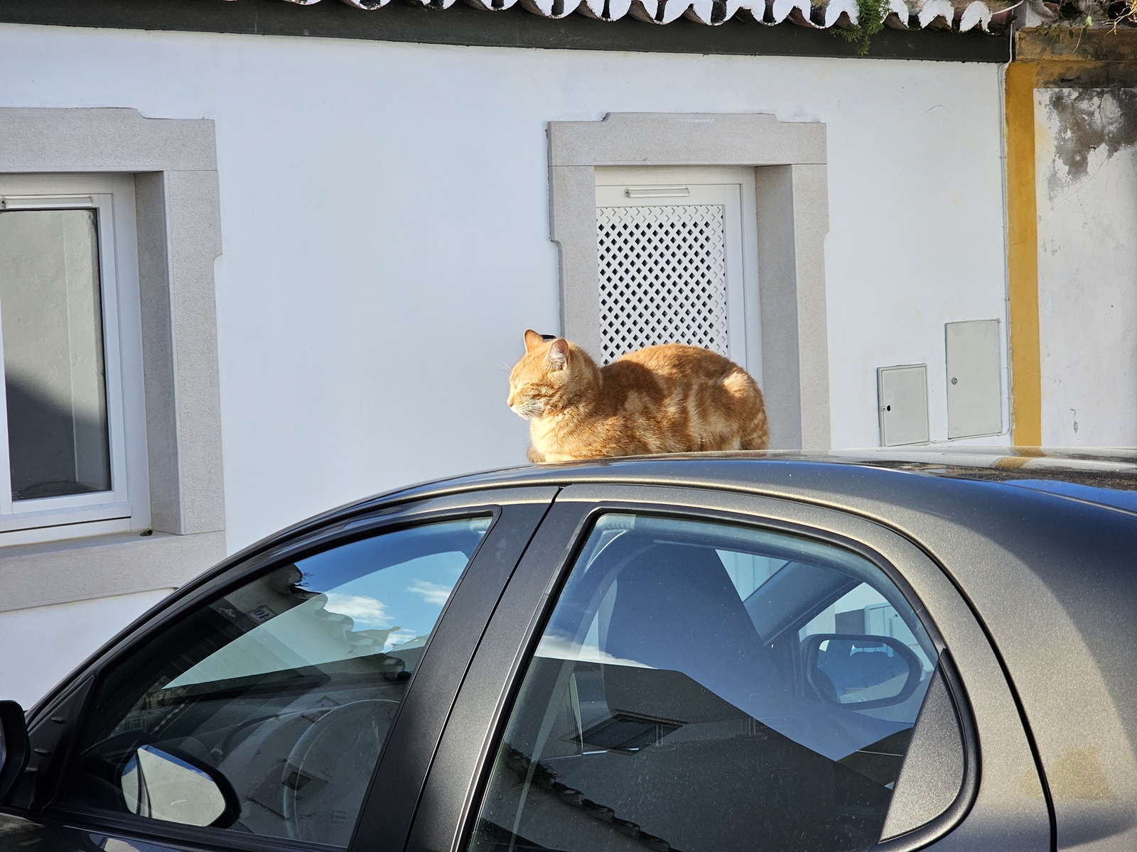 Tavira20260214 162200 021