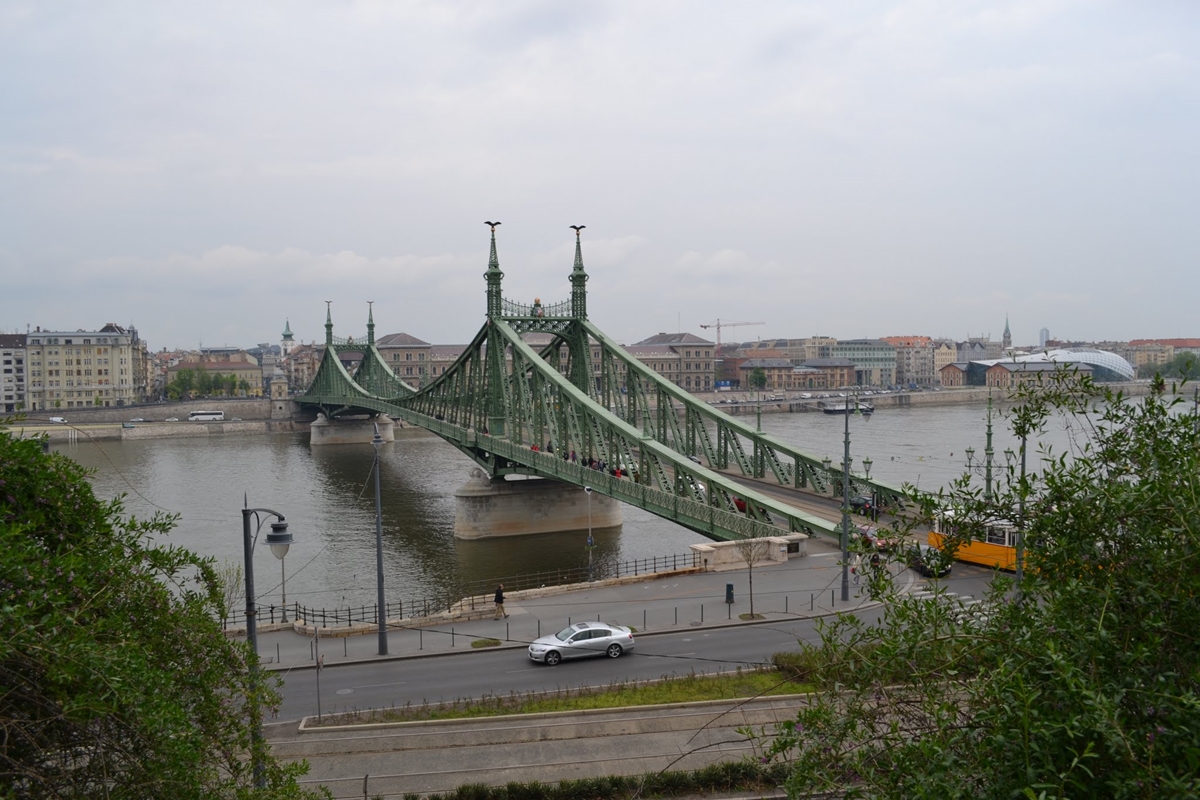 DSC 1105