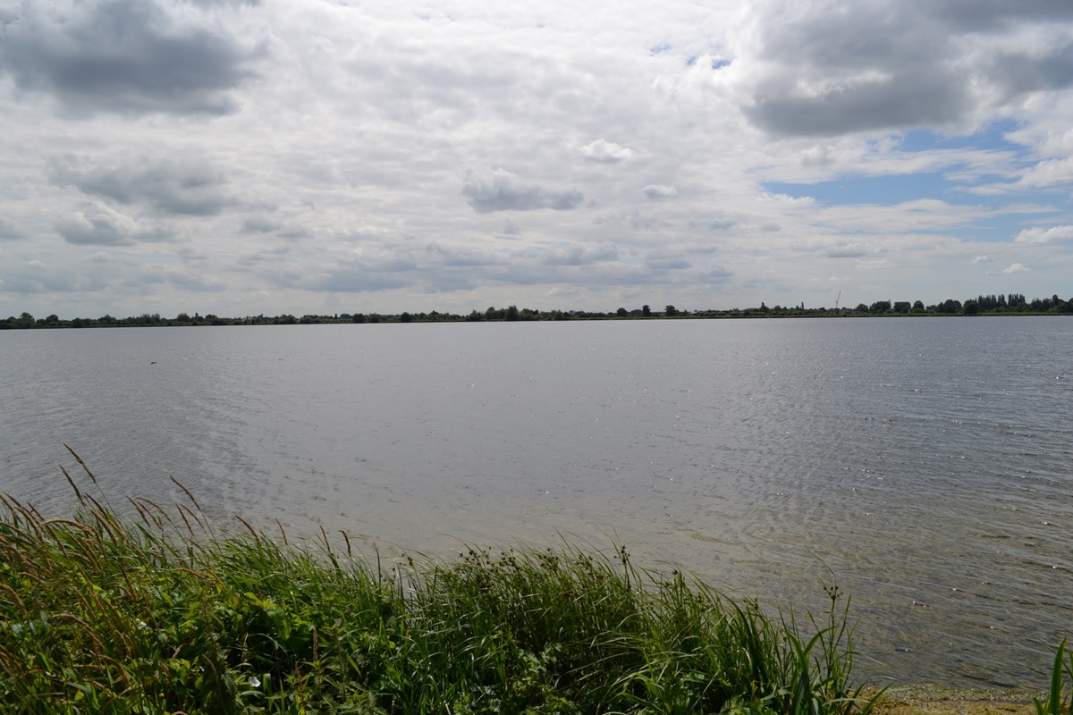 DSC 0042