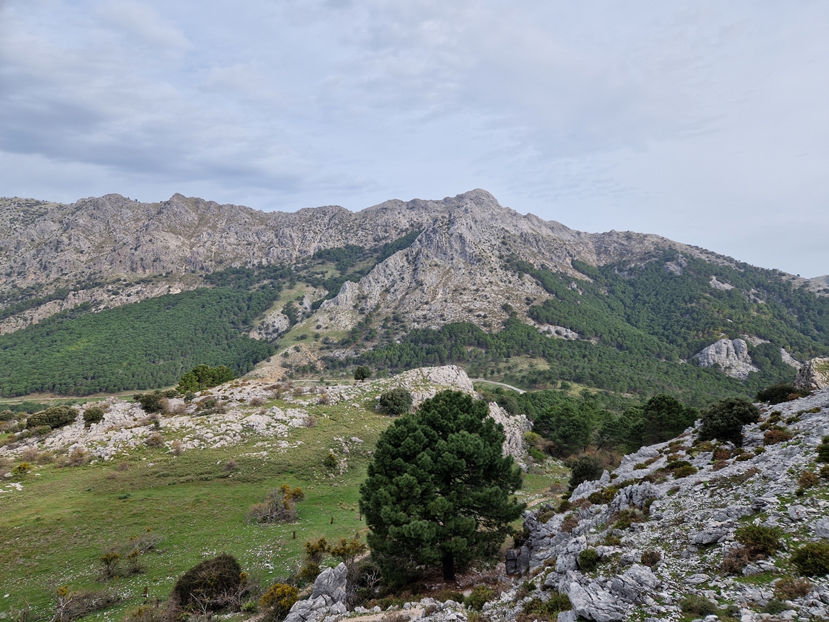 Vandring 1 Grazalema