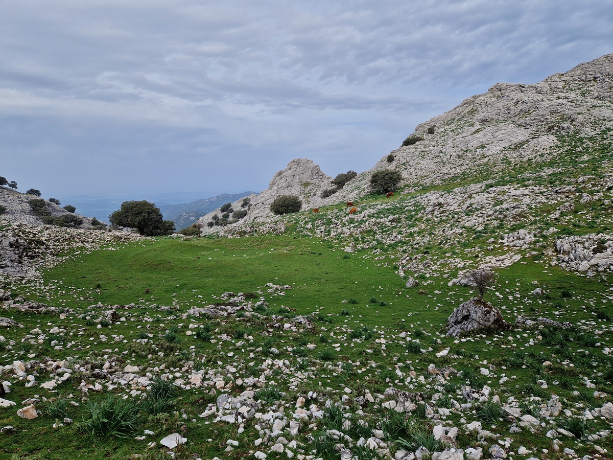 Vandring 1 Grazalema