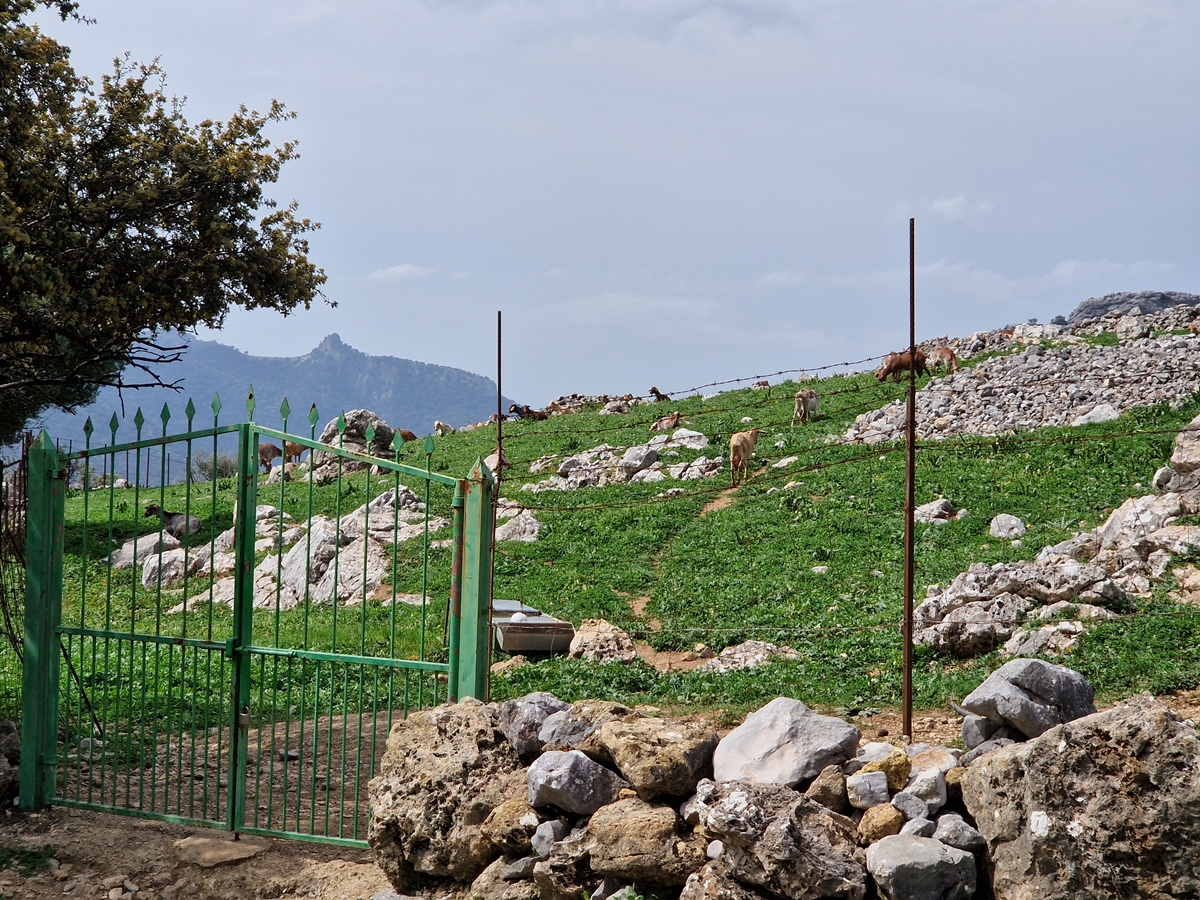 Vandring 1 Grazalema