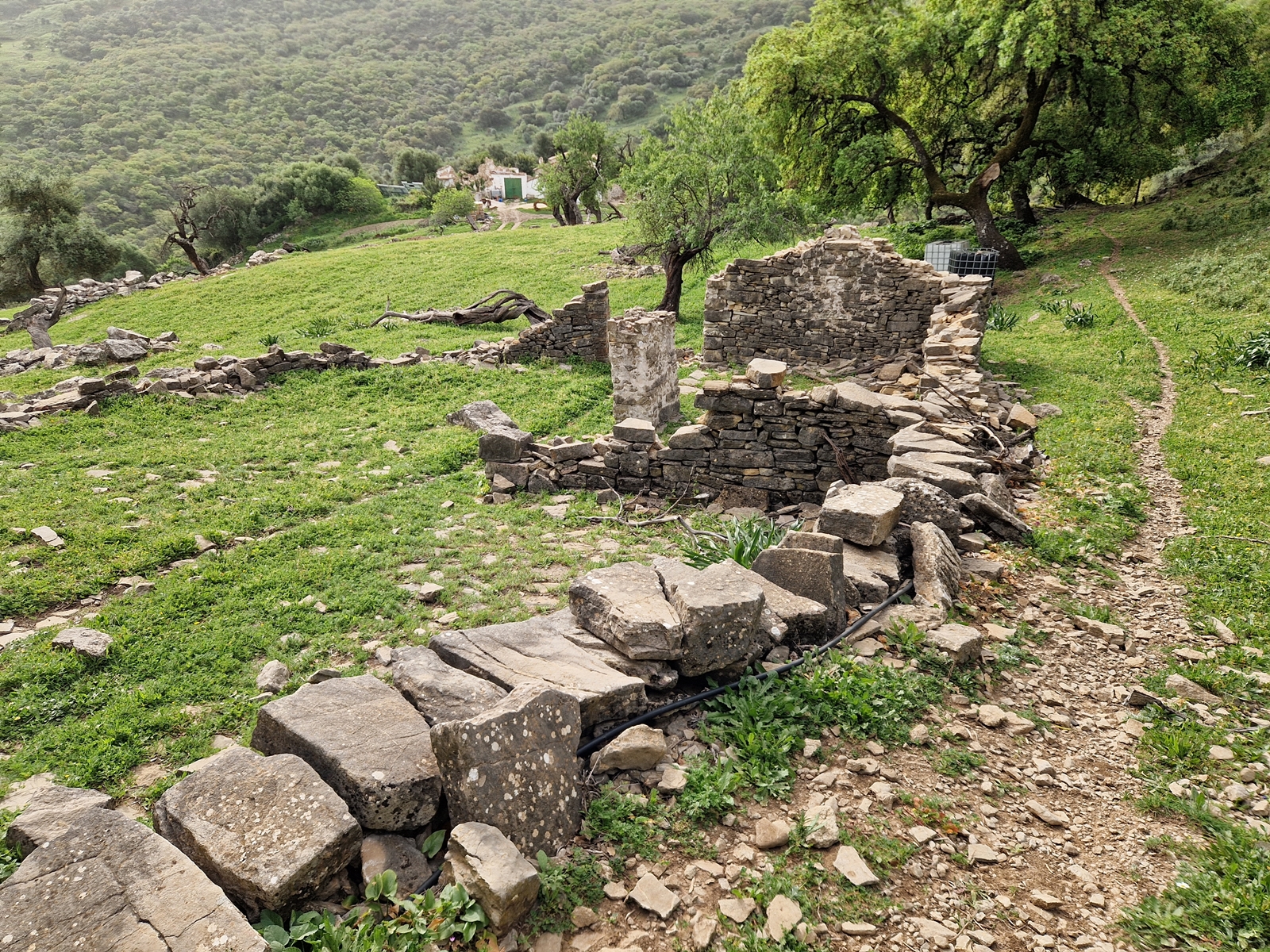 Vandring 3 norr om staden Grazalema