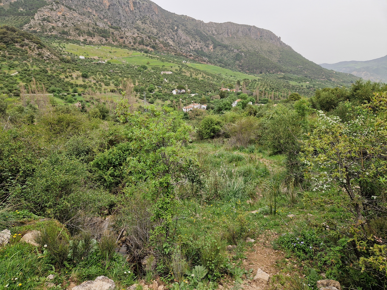 Vandring 3 norr om staden Grazalema