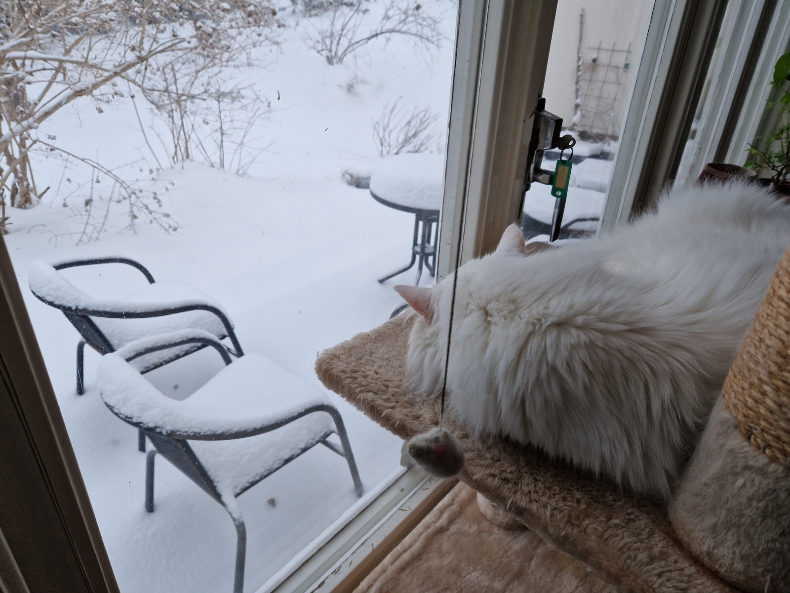 high20230308 070149 005