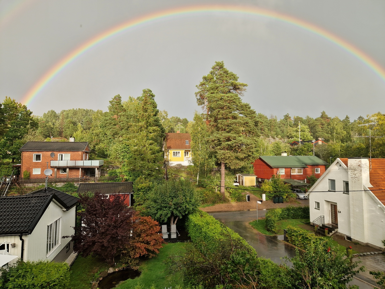 high20230919 172908 013