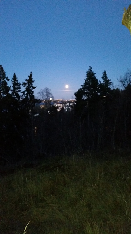 20150104 155334