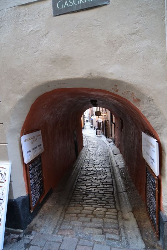 DSC 0305 20240204 113808