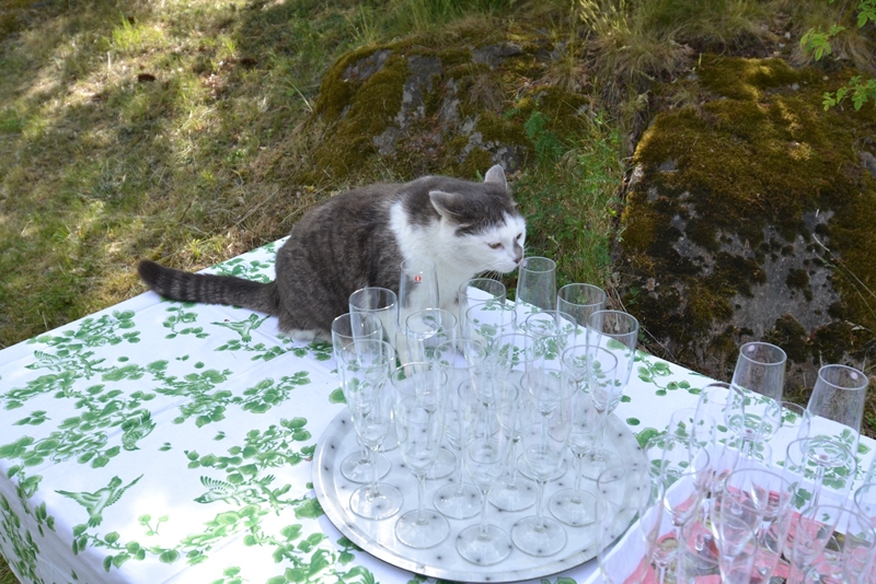 DSC 0505 20240204 113808
