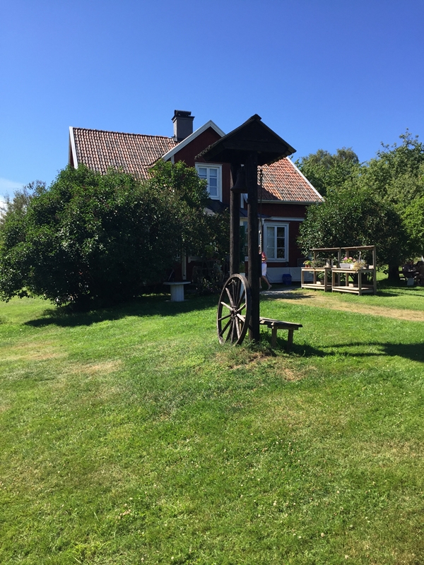 IMG 0187 20240204 115336