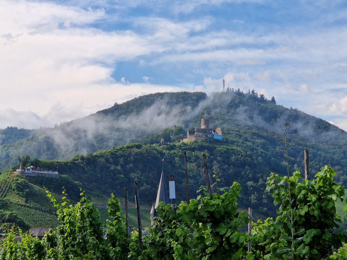 Borgen  Bernkastel-Kues