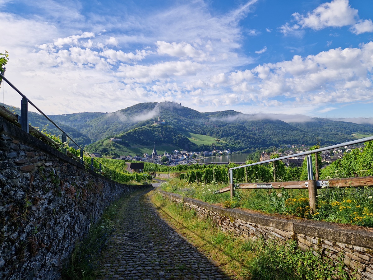 Borgen  Bernkastel-Kues