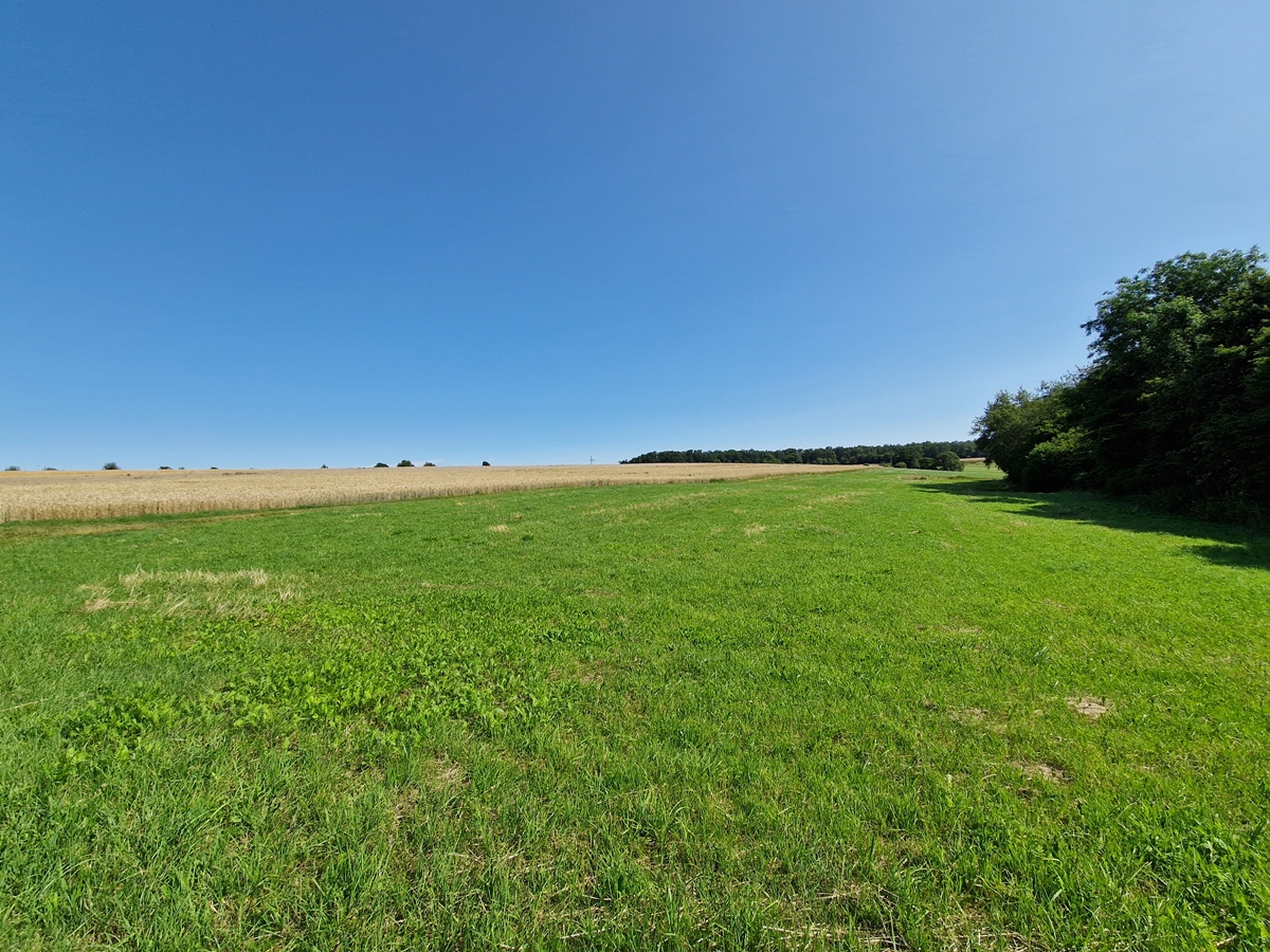 Vandring Treis-Karden till Moselkern via Burg Eltz