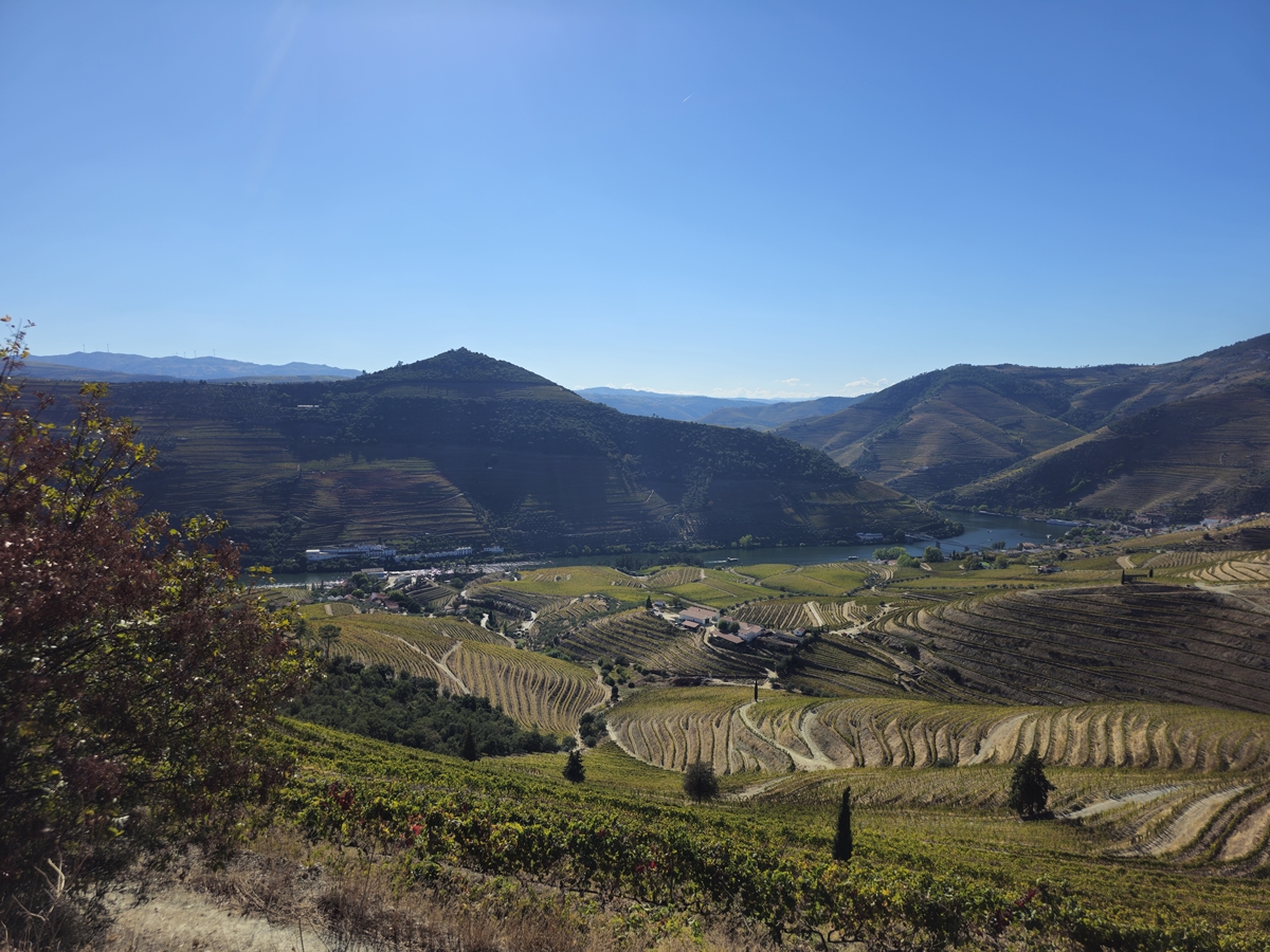 Pinhão vandring 1, nära toppen