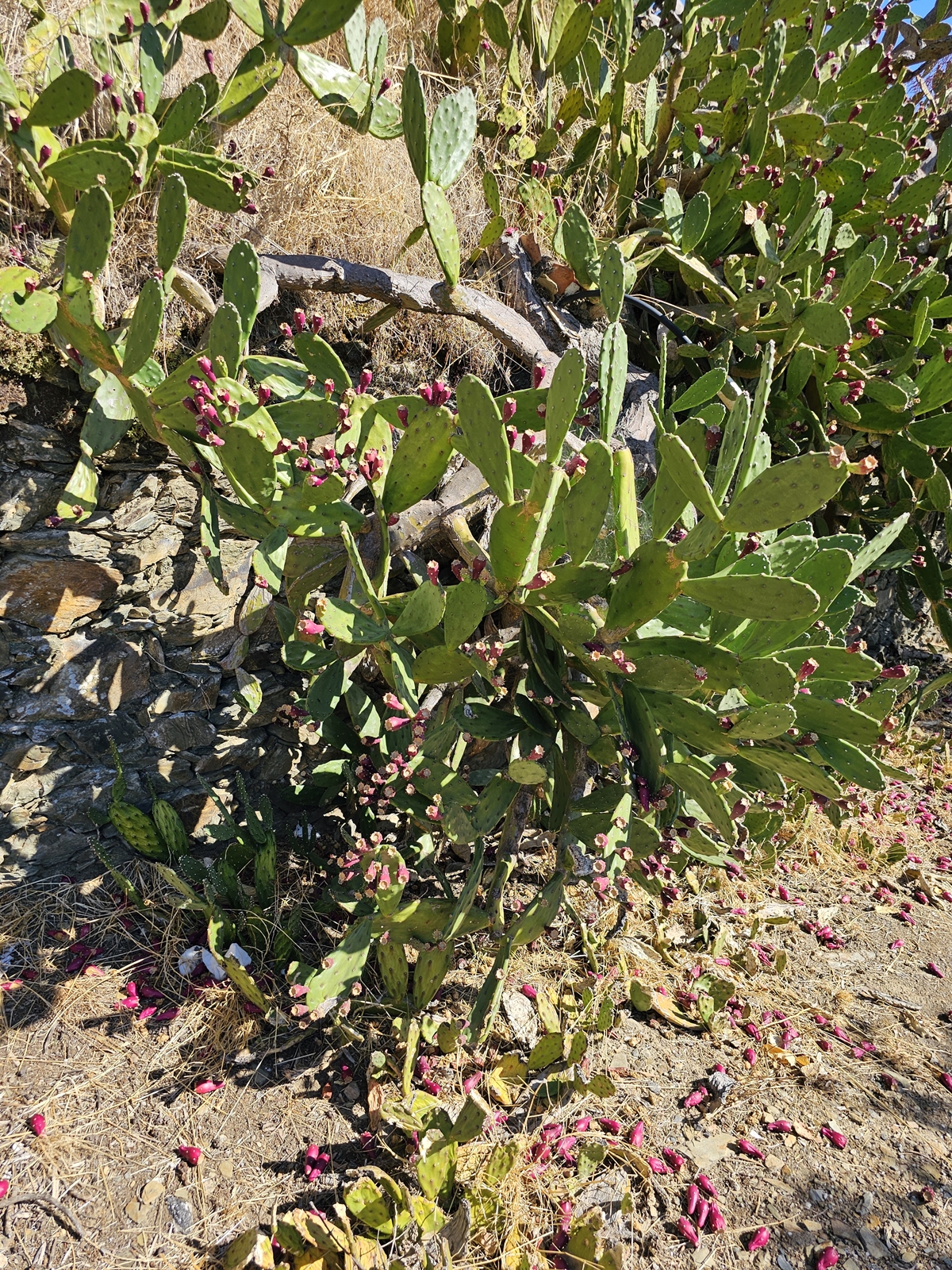 Porto20251012 115409 007