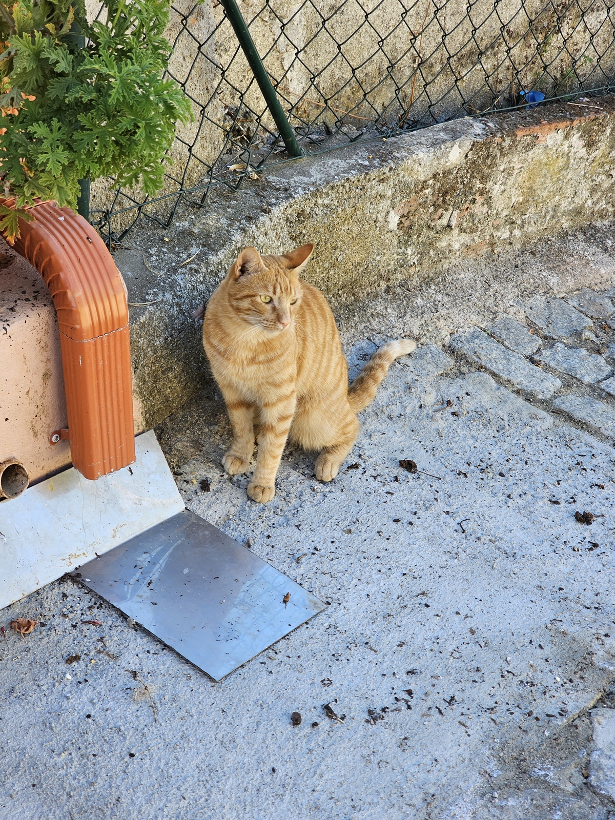 Porto20251012 122215 008