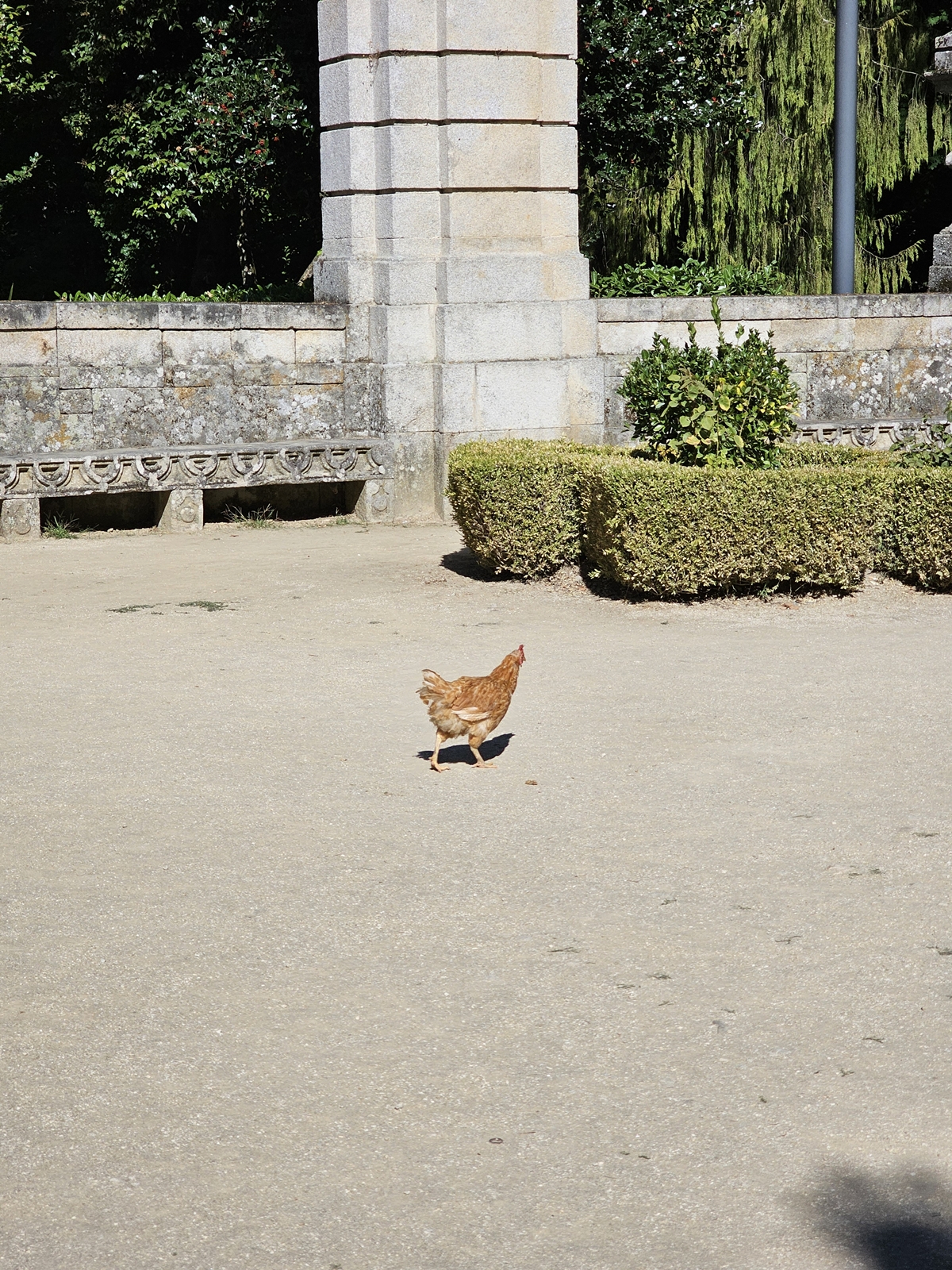 Porto20251013 122119 004