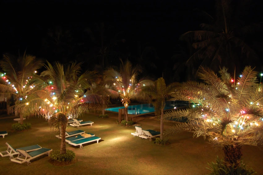 Dolphin Bay 005