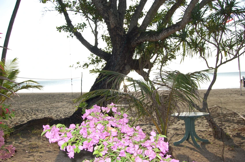 Koh Sukorn 030
