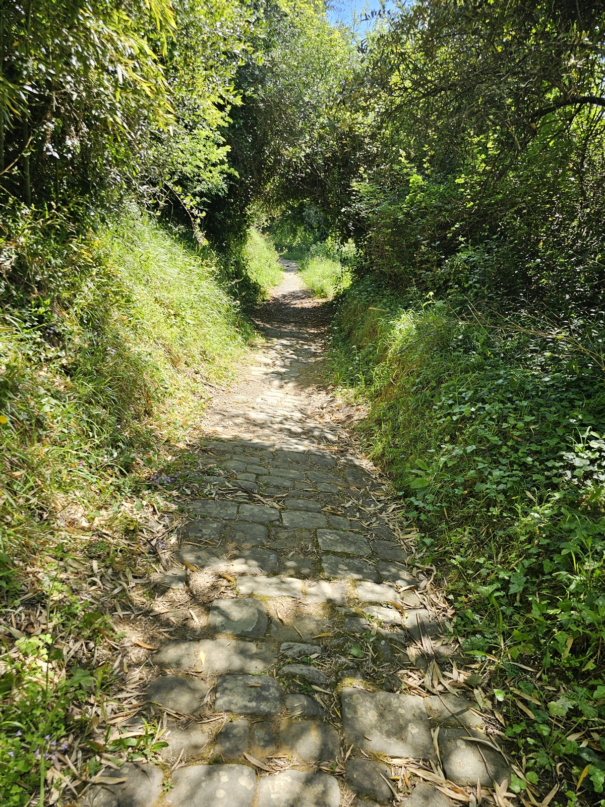 Lucca20260501 111215 021
