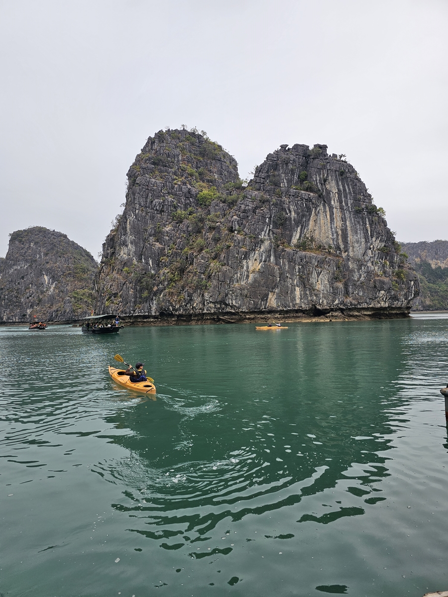 vietnam20250309 150859 20250309 150859
