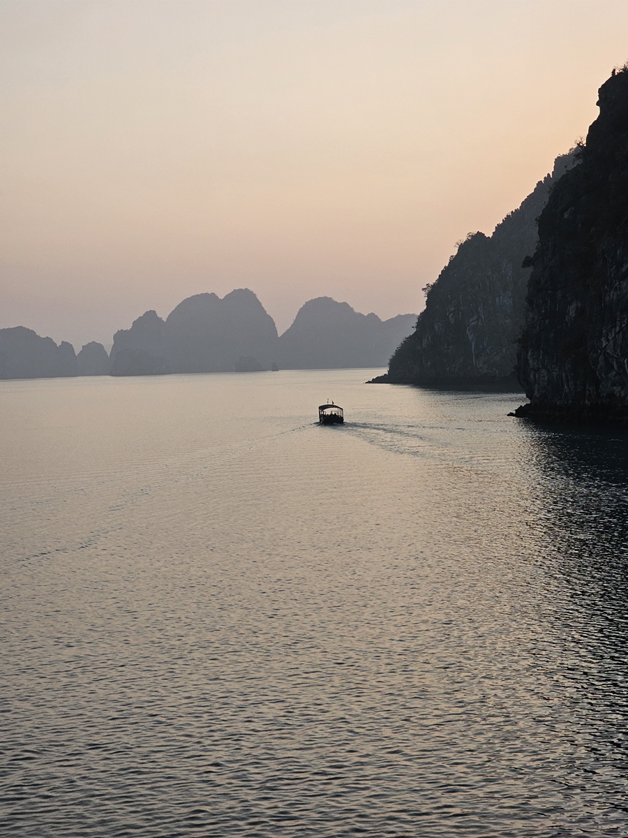 vietnam20250310 174554 20250310 174554