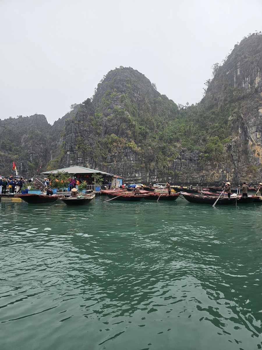 vietnam20250311 074023 20250311 074023