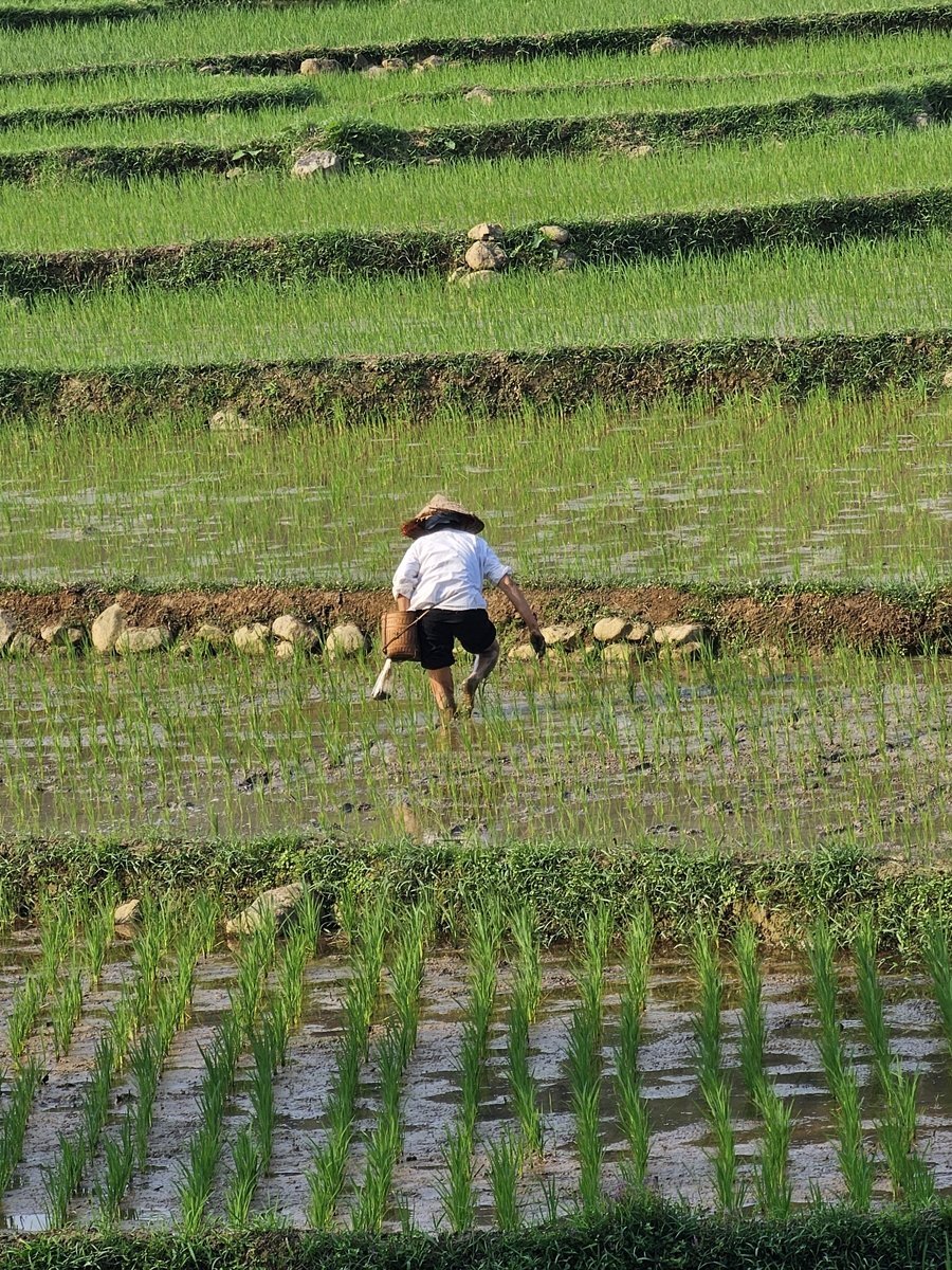 vietnam20250314 155900 20250314 155900
