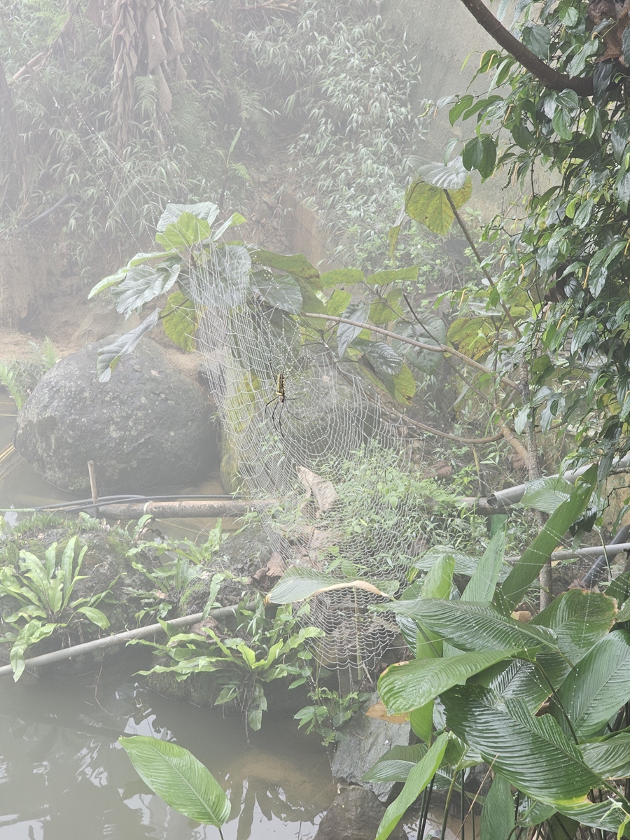 vietnam20250315 082325 20250315 082325