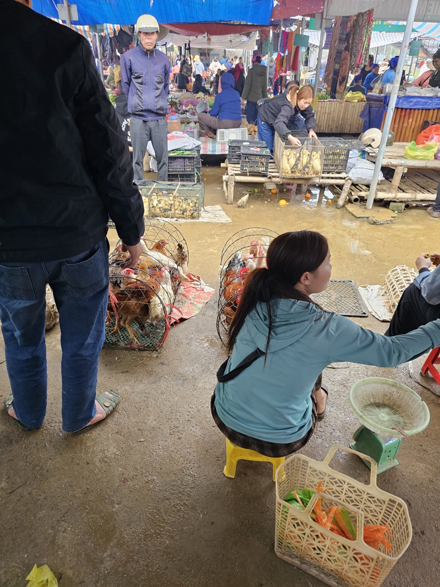 vietnam20250316 081532 20250316 081532