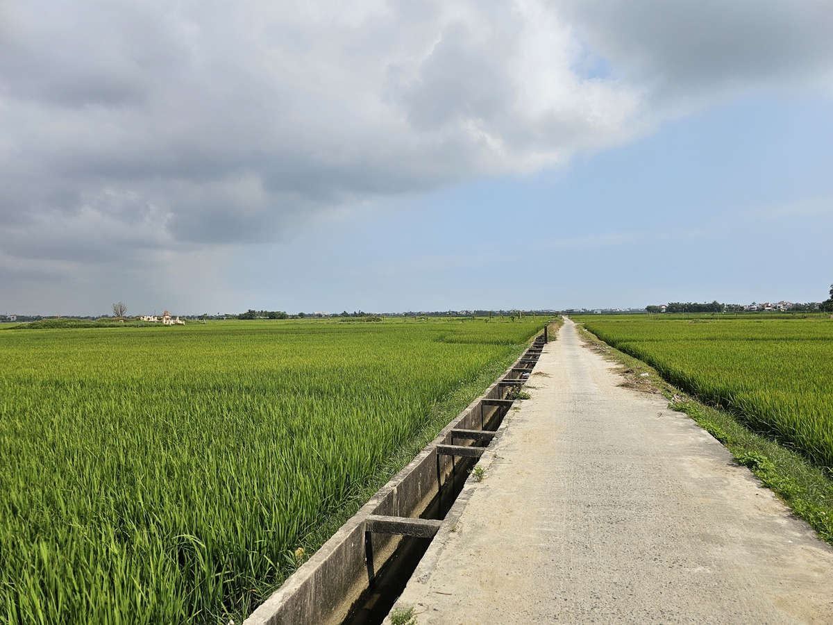 Risfält Hoi An
