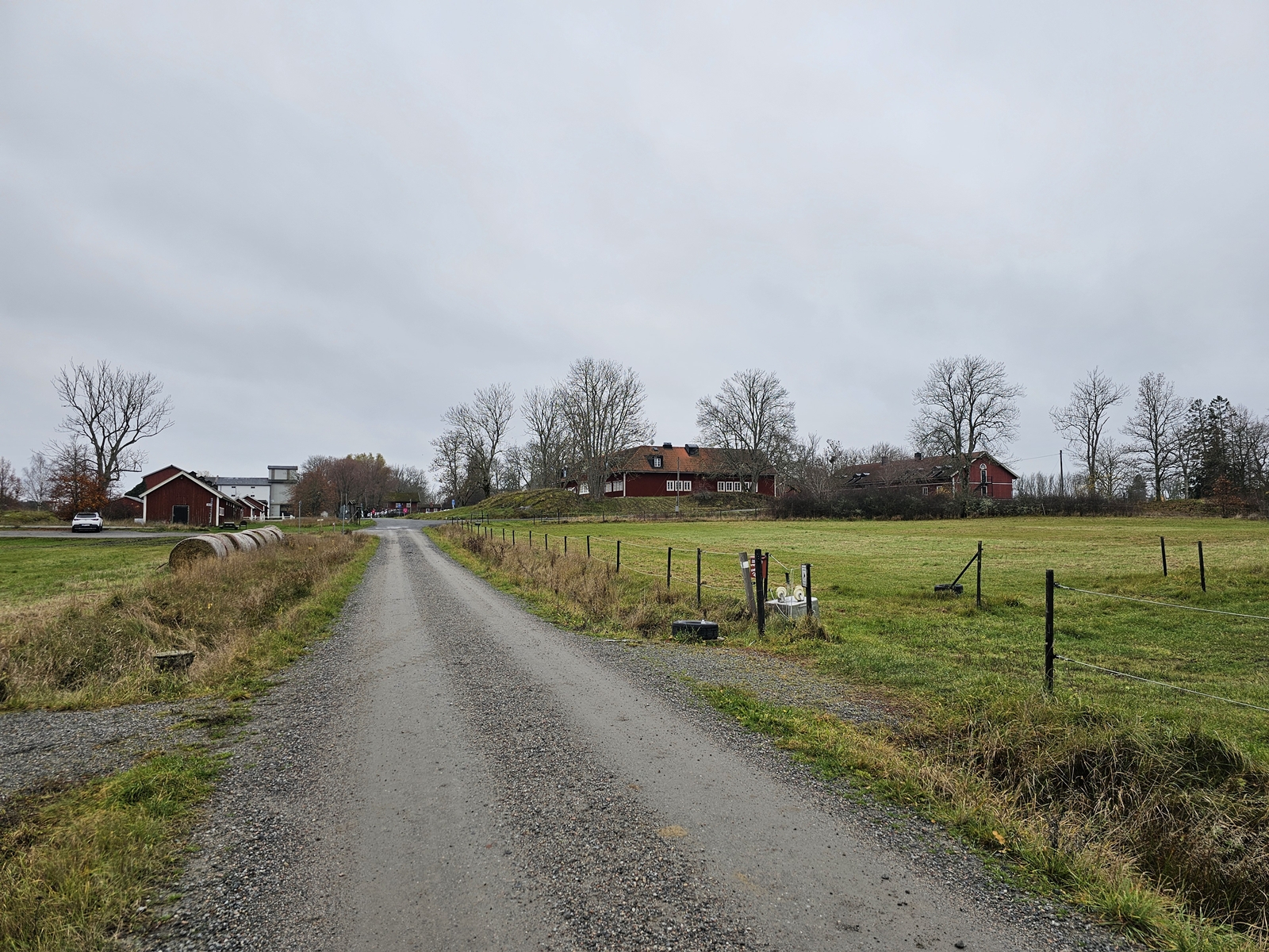 Haringe20251106 101036 001