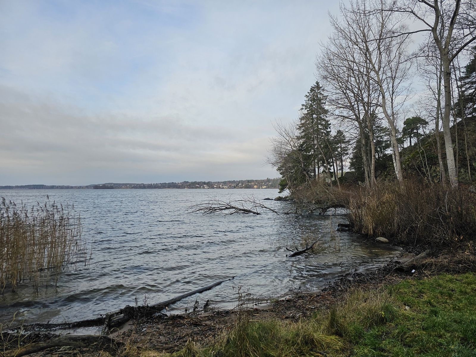 Hostvandr20251215 115328 004