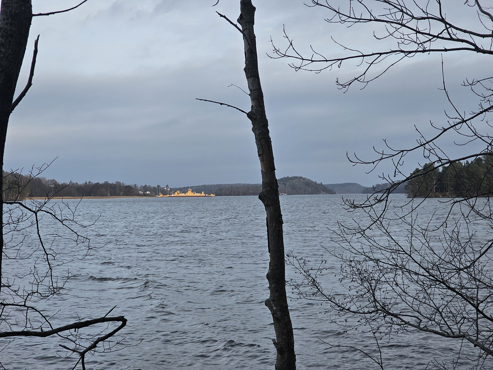 Hostvandr20251215 115632 005