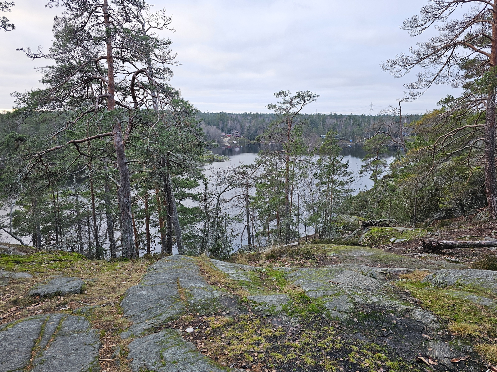 Hostvandr20251216 115759 007