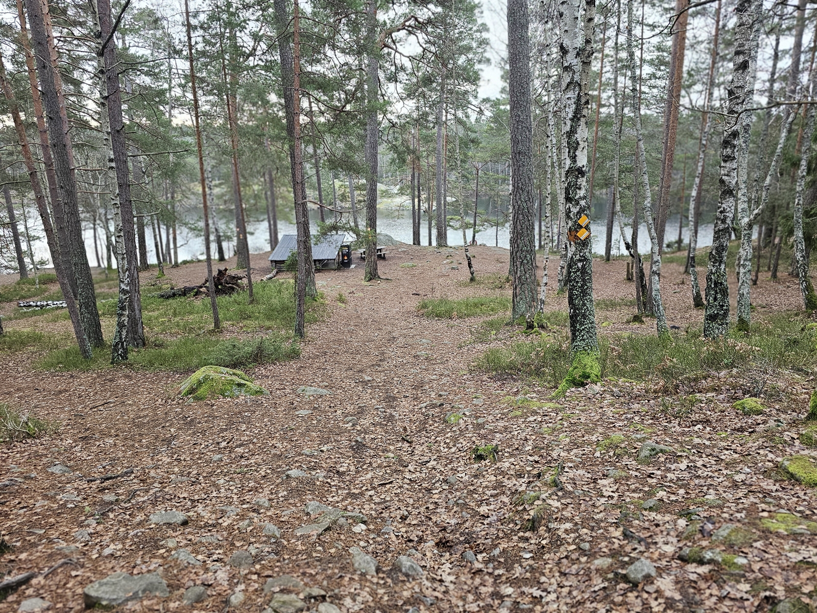 Hostvandr20251216 115946 008