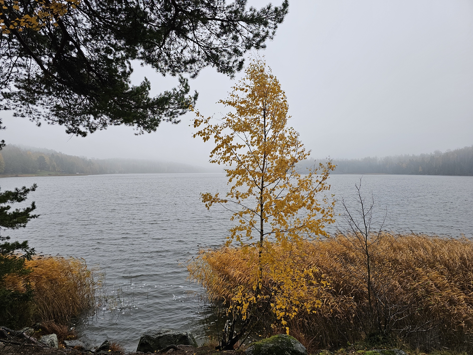 Lida20251024 105149 003