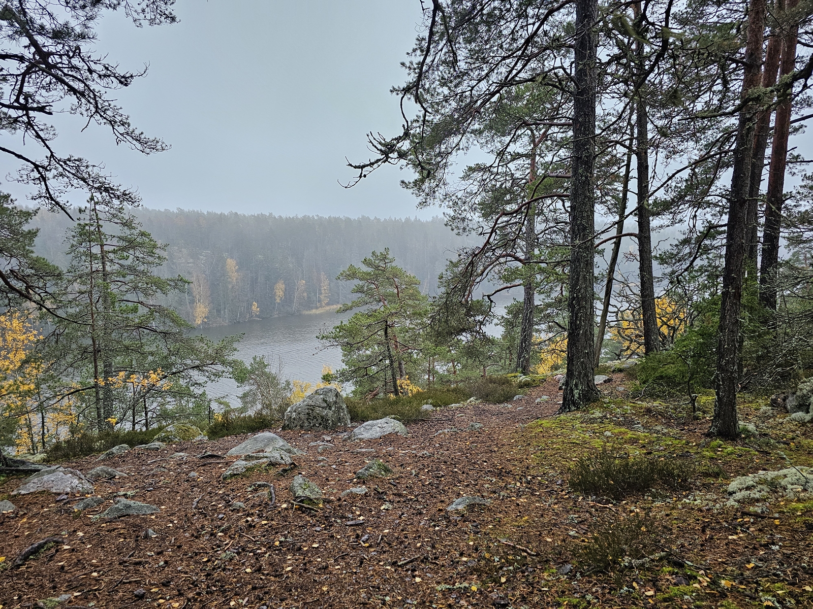 Lida20251024 110208 004