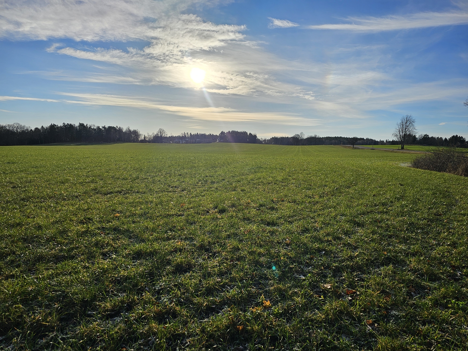 Ytterjarna20251115 113439 002