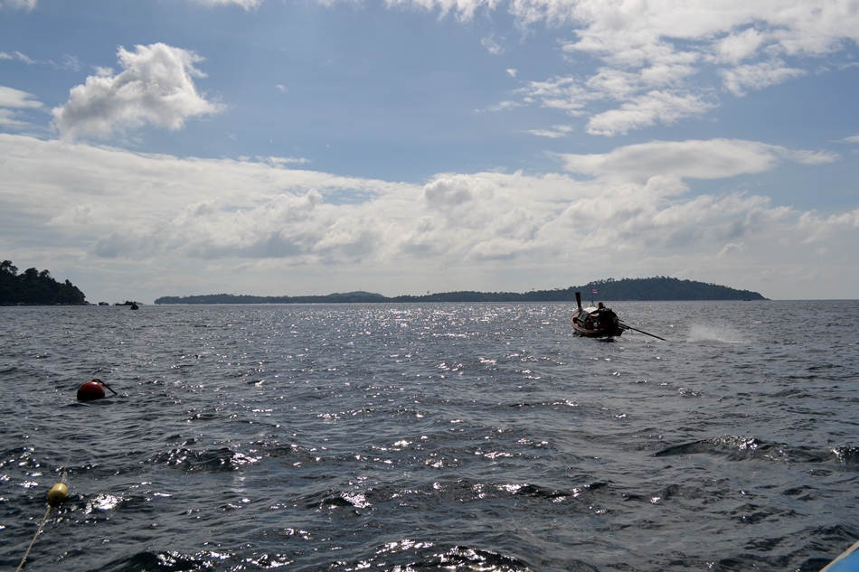 lipe 6