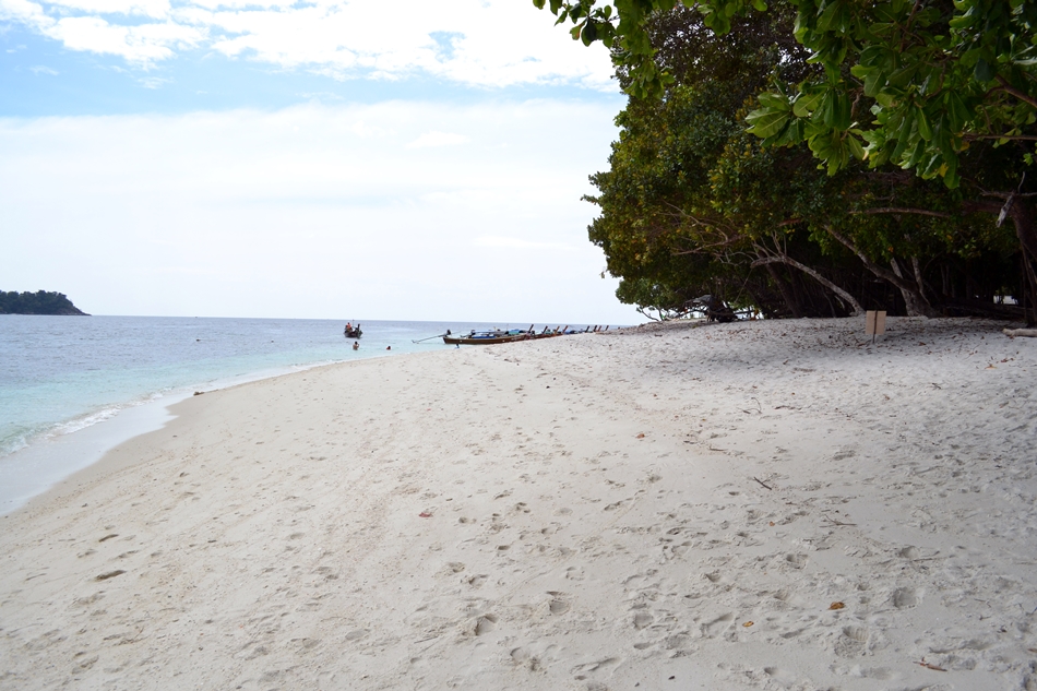 lipe 8