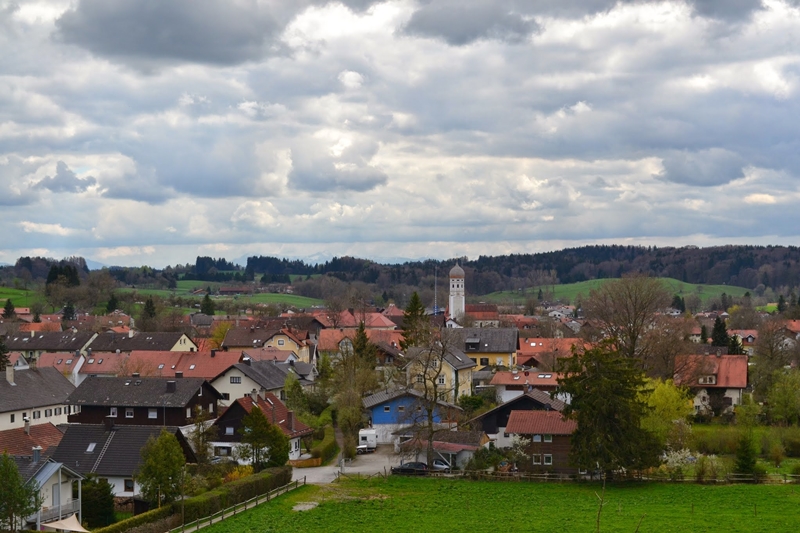 DSC 0059