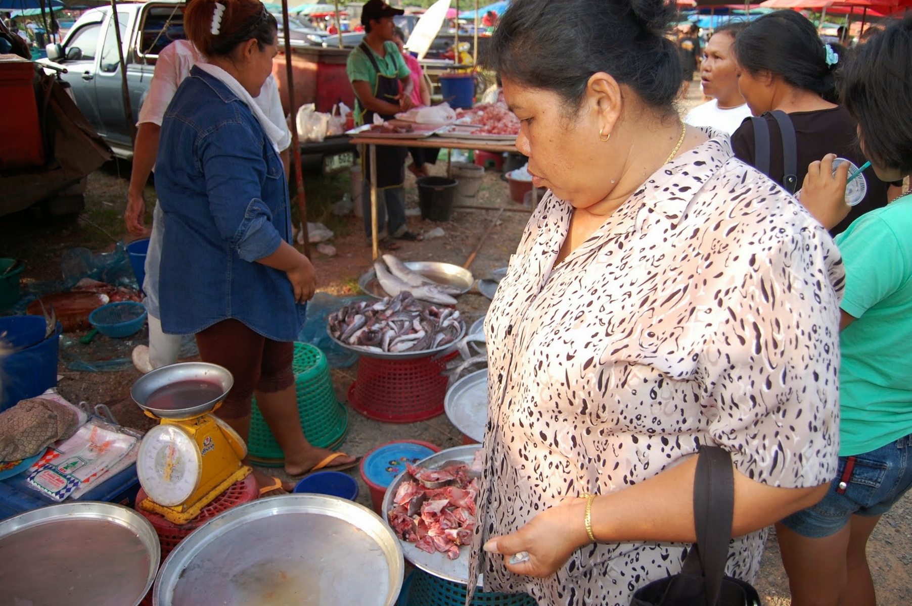 Marknad Ban Saphan 2008