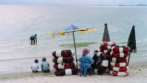 Turtle Island