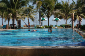 Dolphin Bay