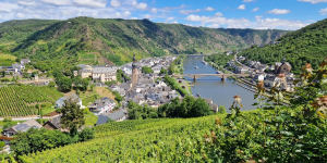 1. Mosel Sammanfattning