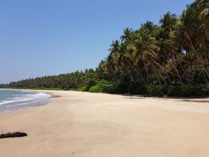 Indien och Kerala mars 2020